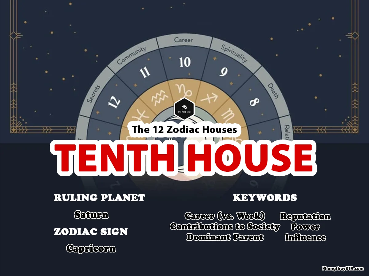 Tenth House in Astrology