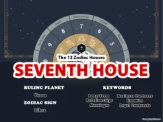 The Seventh House: The House of Partnerships 7th house astrology