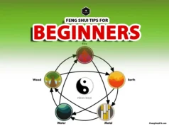 Feng Shui Tips for Beginners: Master Harmony
