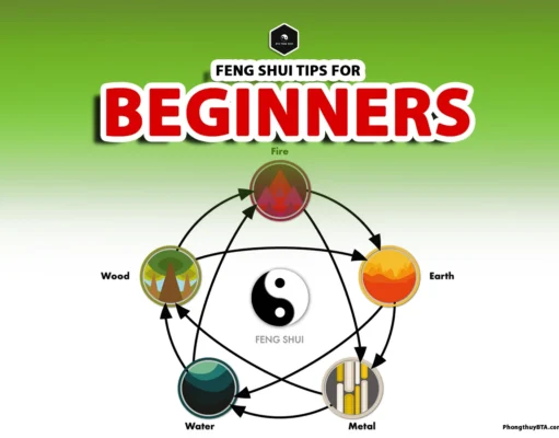 Feng Shui Tips for Beginners: Master Harmony