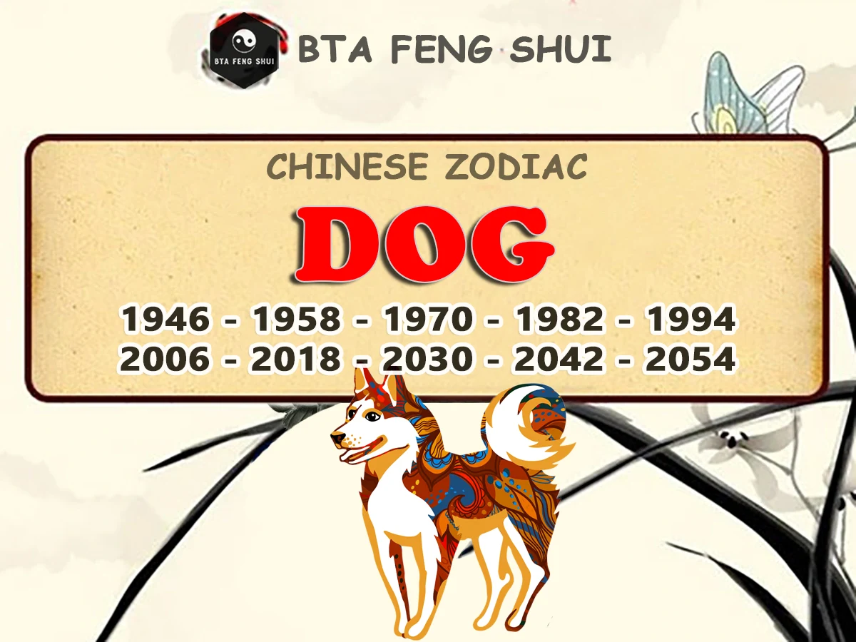 Chinese Zodiac Sign - Year Of The Dog