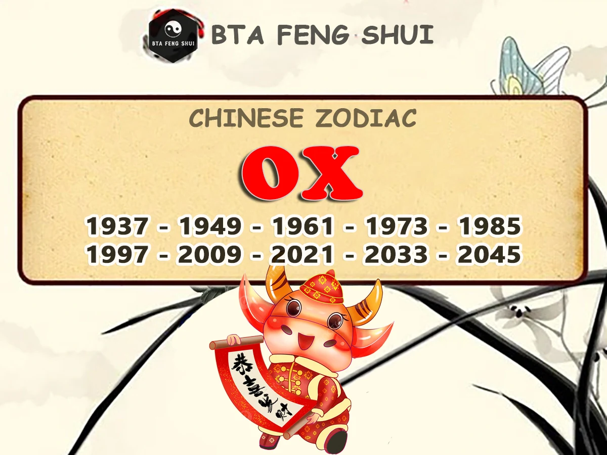 Chinese Zodiac Sign - Year Of The Ox