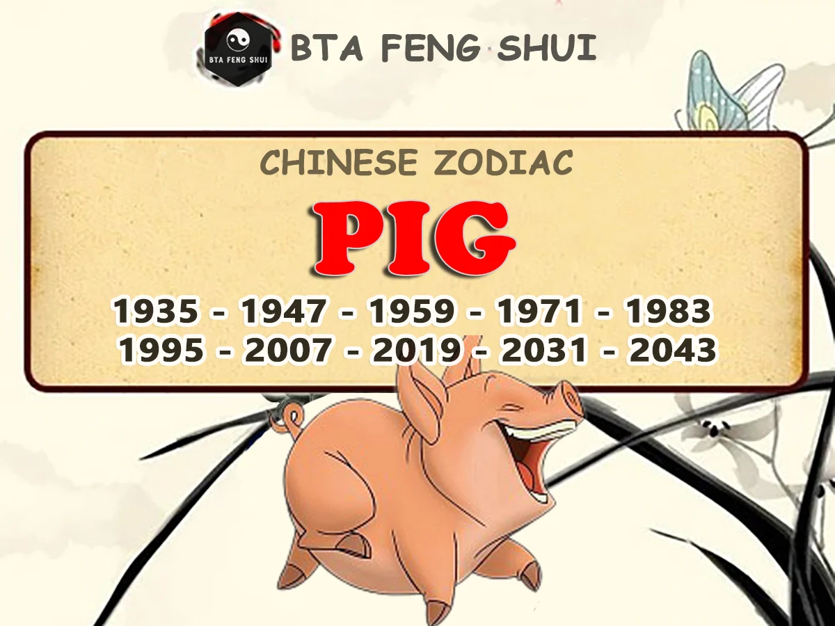 Chinese Zodiac Sign - Year Of The Pig