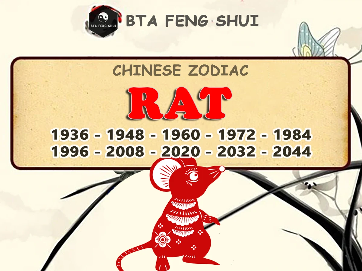 Chinese Zodiac Sign - Year Of The Rat
