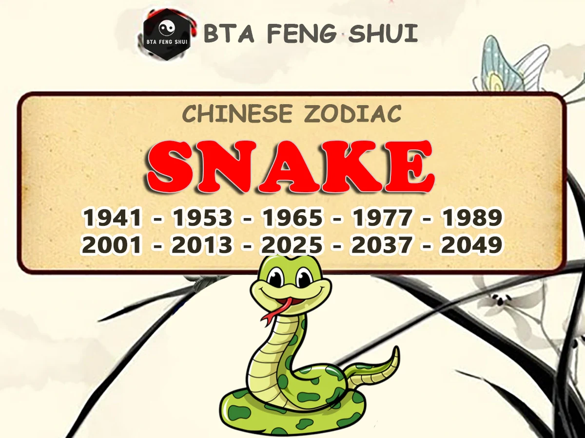 Chinese Zodiac Sign - Year Of The Snake