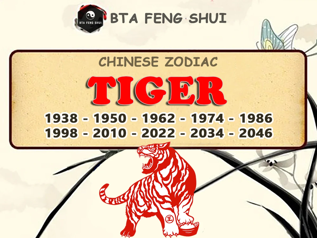 Chinese Zodiac Sign - Year Of The Tiger